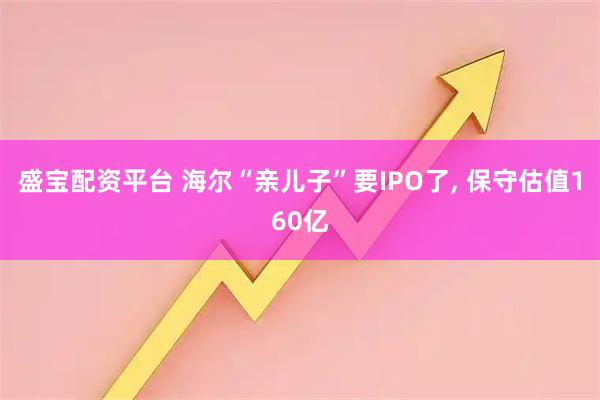 盛宝配资平台 海尔“亲儿子”要IPO了, 保守估值160亿